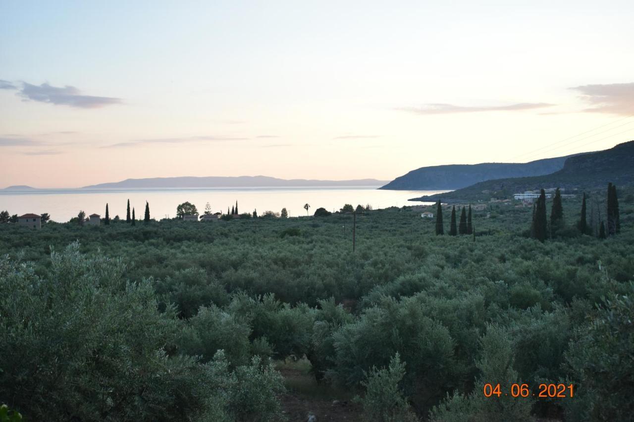 Ouranias Studios Kardamyli Exterior photo